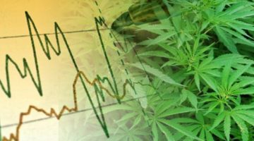 trading cannabis