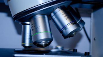 Coronavirus economia mondiale