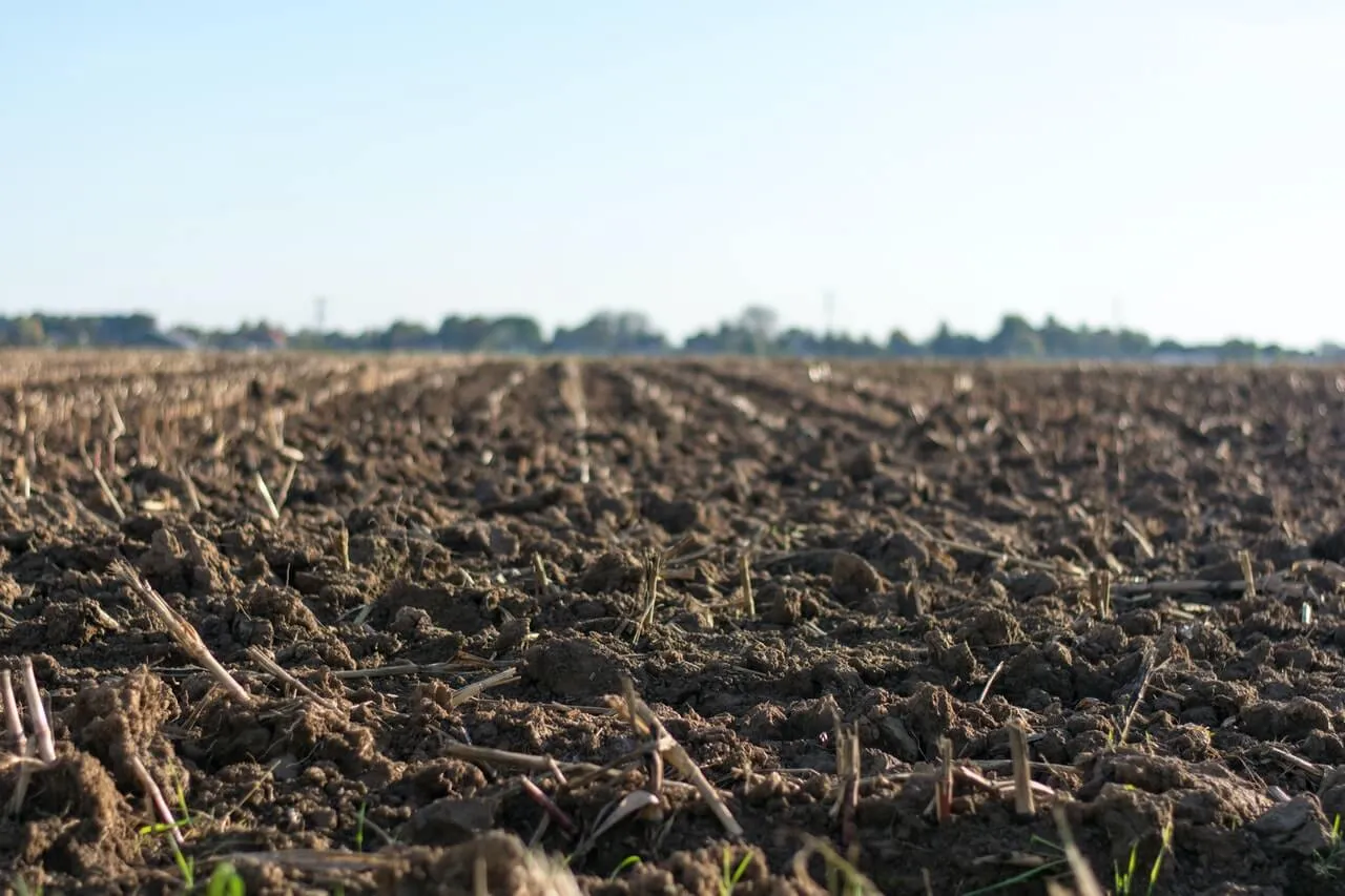 Agricoltura ed Economia