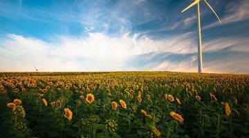 I nuovi record di Enel Green Power nel settore delle energie rinnovabili