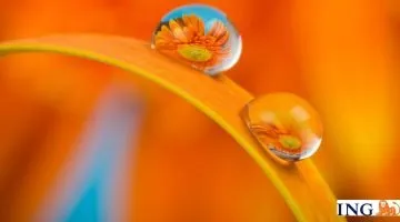 Aprire un Conto su Conto Arancio